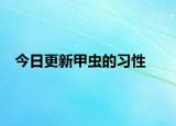 今日更新甲虫的习性