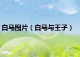 白马图片（白马与王子）