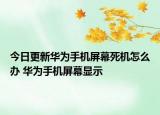 今日更新华为手机屏幕死机怎么办 华为手机屏幕显示