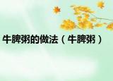 牛脾粥的做法（牛脾粥）