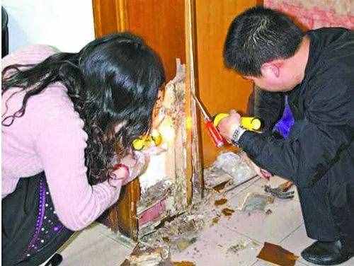妙招｜白蚁“大军”入侵家里？这个消灭办法很有效！
