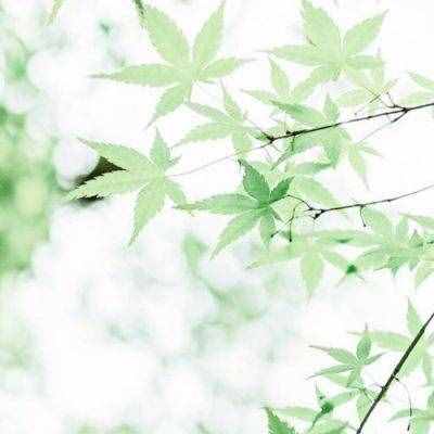 微信头像意境唯美风景图片大全