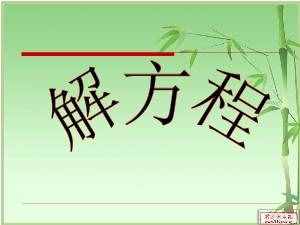 数学小论文——奇妙的“方程”