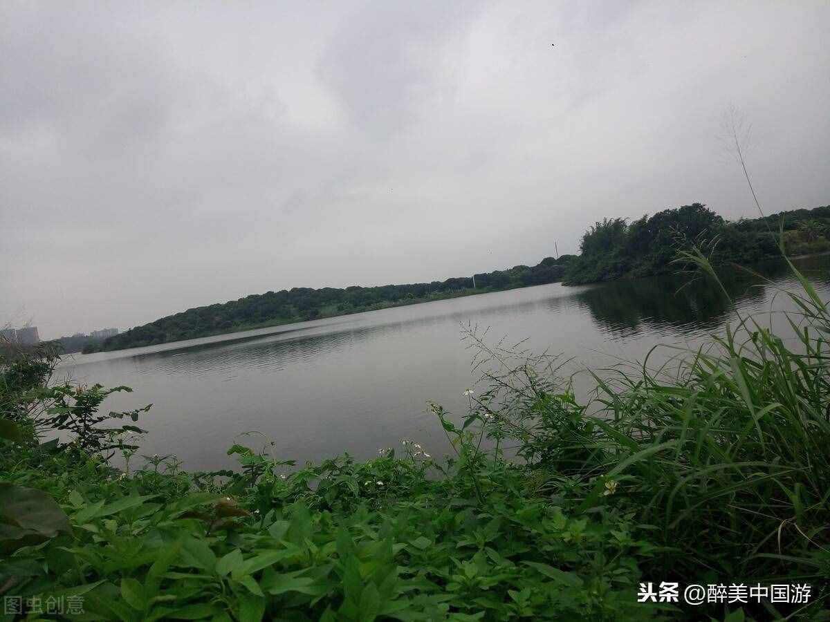 探访梦幻百花洲，大型花卉主题休闲胜地，环境优美