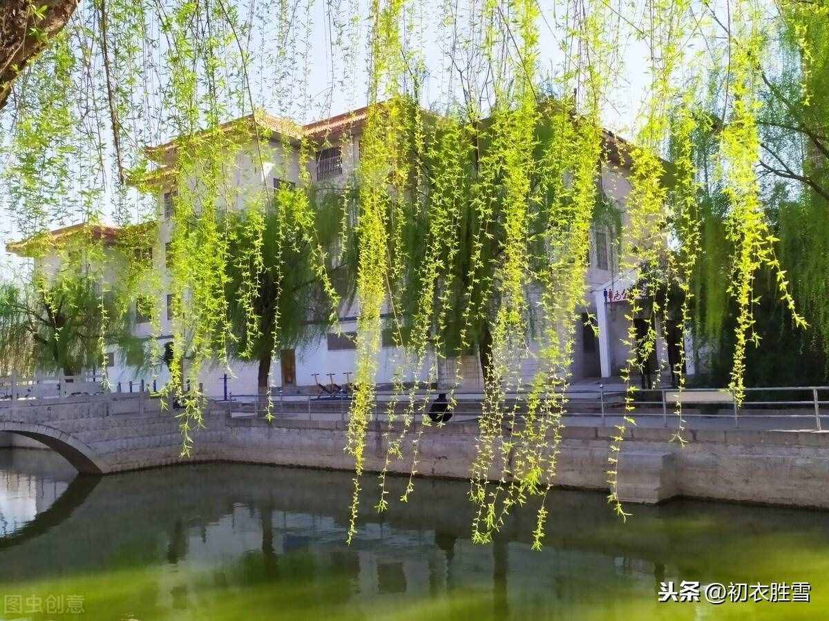 贺知章《咏柳》，二月春风似剪刀，他写的不仅仅只是柳树和春风哦