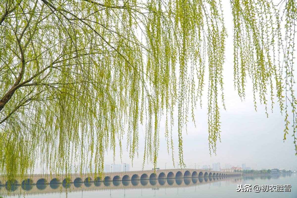 贺知章《咏柳》，二月春风似剪刀，他写的不仅仅只是柳树和春风哦