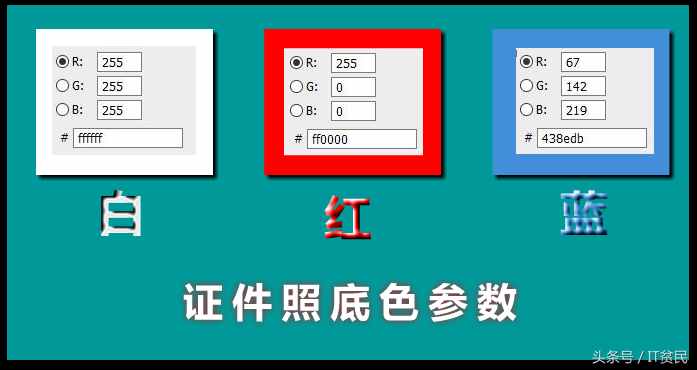 证件照的具体尺寸和颜色你知道吗？