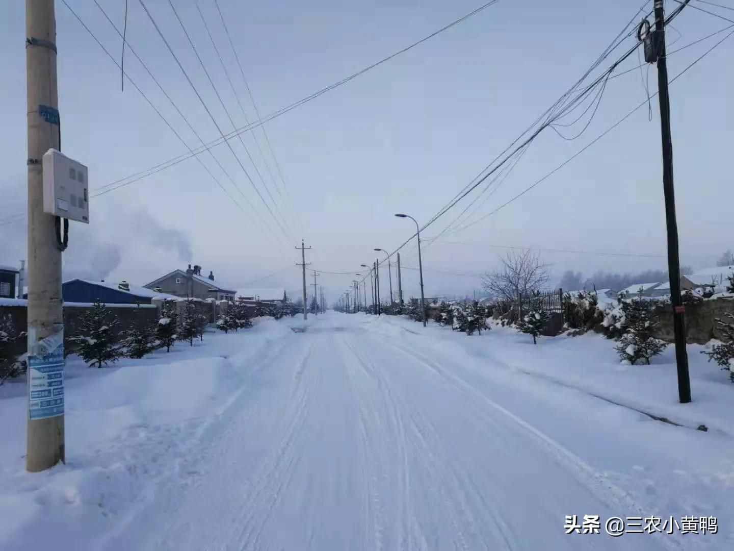 六月飞雪？天气异常，农民：今年夏天热不热？