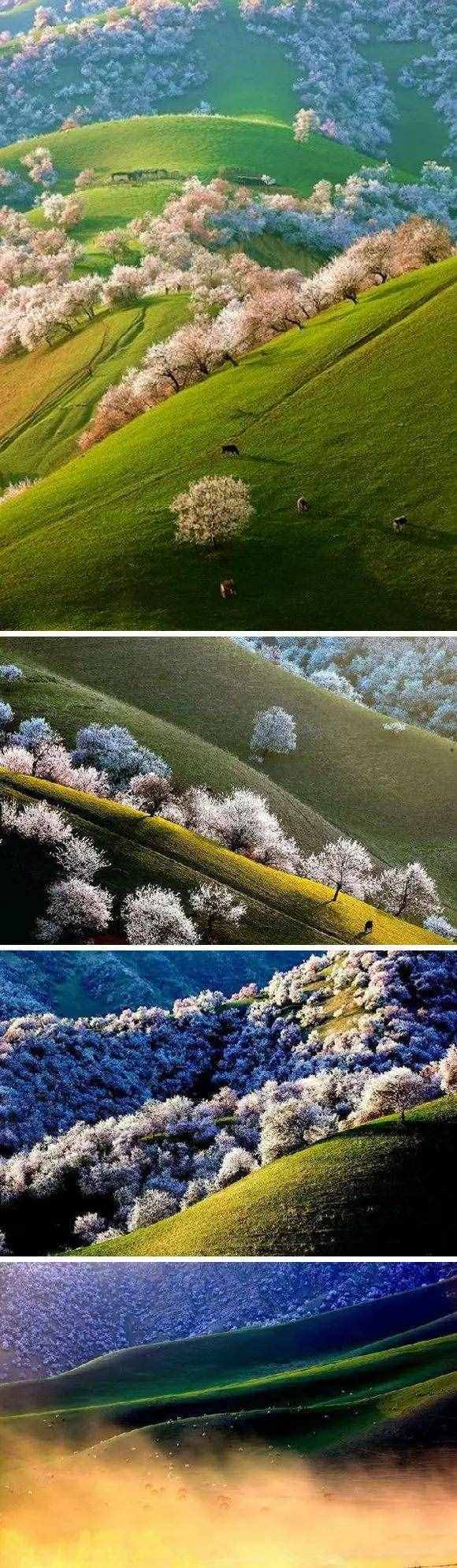 中国春季必去的八大美景，你都看过了吗？