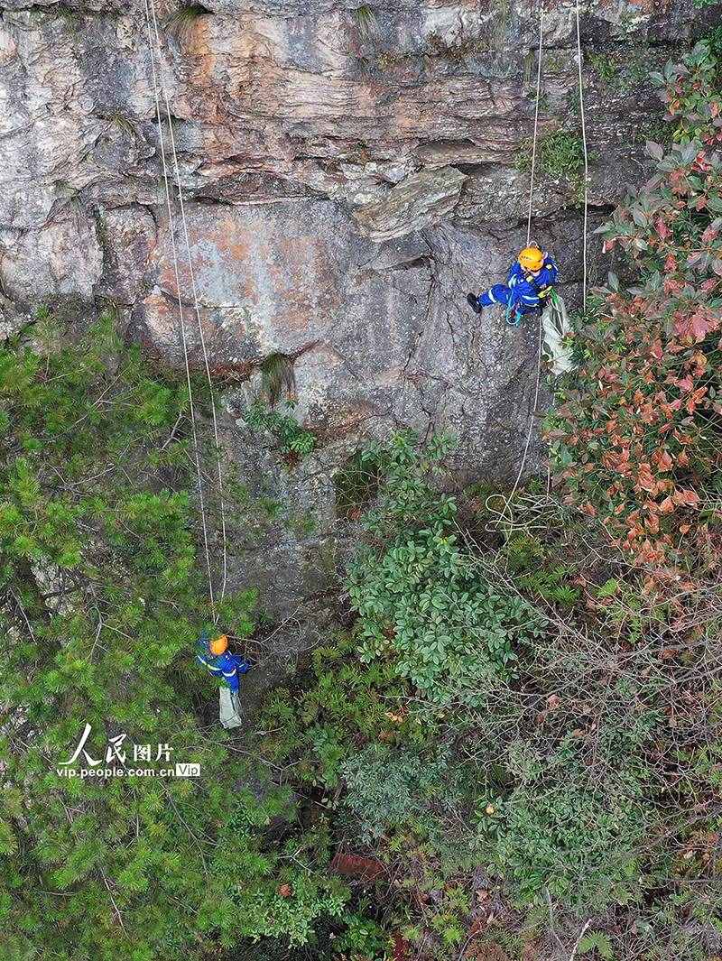 湖南张家界：行走绝壁捡垃圾 保护生态环境