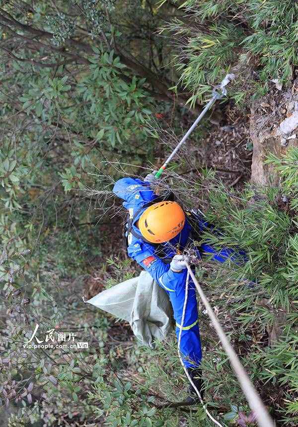 湖南张家界：行走绝壁捡垃圾 保护生态环境