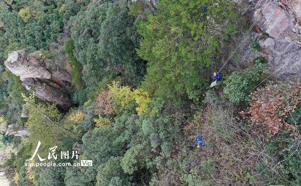 湖南张家界：行走绝壁捡垃圾 保护生态环境