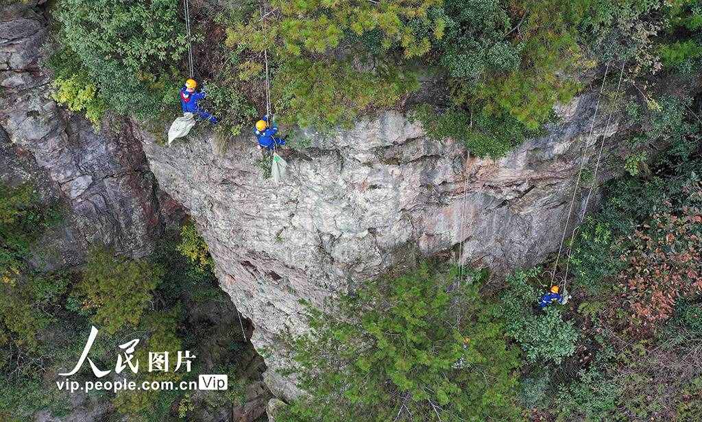 湖南张家界：行走绝壁捡垃圾 保护生态环境