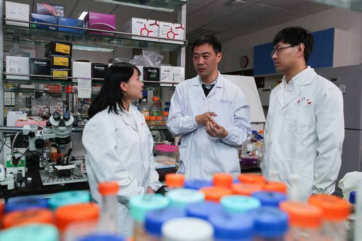 我们为什么会遗忘？原来是大脑中的免疫细胞在作怪 浙大重大研究成果在国际顶级期刊上发布