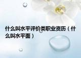 什么叫水平评价类职业资历（什么叫水平面）