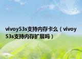 vivoy53s支持内存卡么（vivoy53s支持内存扩展吗）