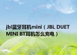 jbl蓝牙耳机mini（JBL DUET MINI BT耳机怎么充电）