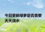 今日更新绿萝是否需要天天浇水