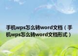 手机wps怎么转word文档（手机wps怎么转word文档形式）
