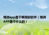 绿洲app是干嘛用的软件（绿洲APP是干什么的）