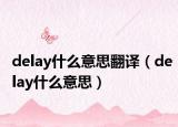 delay什么意思翻译（delay什么意思）