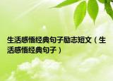 生活感悟经典句子励志短文（生活感悟经典句子）