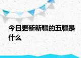 今日更新新疆的五疆是什么