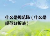 什么是规范场（什么是规范分析法）