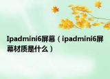 Ipadmini6屏幕（ipadmini6屏幕材质是什么）