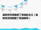 霜树尽空枝肠断丁香结的含义（霜树尽空枝断肠丁香结解释）