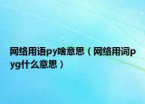 网络用语py啥意思（网络用词pyg什么意思）