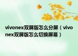 vivonex双屏版怎么分屏（vivonex双屏版怎么切换屏幕）