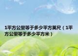 1平方公里等于多少平方英尺（1平方公里等于多少平方米）