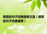 感恩的句子经典语录文案（感恩的句子经典语录）