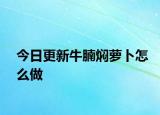 今日更新牛腩焖萝卜怎么做