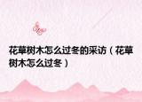 花草树木怎么过冬的采访（花草树木怎么过冬）