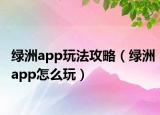绿洲app玩法攻略（绿洲app怎么玩）