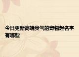 今日更新高端贵气的宠物起名字有哪些