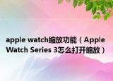 apple watch缩放功能（Apple Watch Series 3怎么打开缩放）