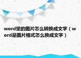 word里的图片怎么转换成文字（word是图片格式怎么换成文字）