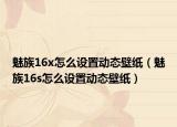 魅族16x怎么设置动态壁纸（魅族16s怎么设置动态壁纸）