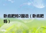 卧底肥妈2国语（卧底肥妈）