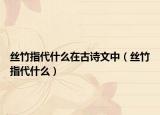 丝竹指代什么在古诗文中（丝竹指代什么）