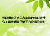 黄晓明章子怡王力宏演的电影叫什么（黄晓明章子怡王力宏演的电影）