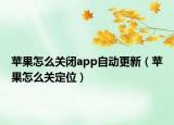 苹果怎么关闭app自动更新（苹果怎么关定位）
