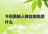 今日更新人棉丝地毯是什么