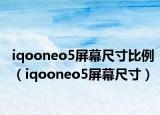 iqooneo5屏幕尺寸比例（iqooneo5屏幕尺寸）