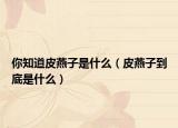 你知道皮燕子是什么（皮燕子到底是什么）