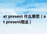 at present 什么意思（at present用法）