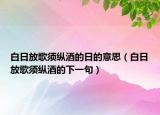 白日放歌须纵酒的日的意思（白日放歌须纵酒的下一句）